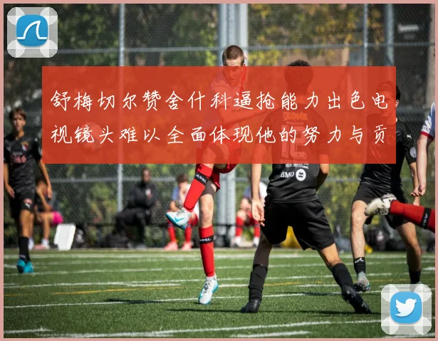 舒梅切尔赞舍什科逼抢能力出色电视镜头难以全面体现他的努力与贡献